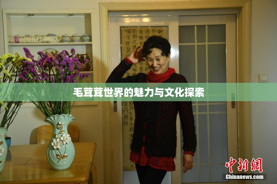 毛茸茸世界的魅力与文化探索