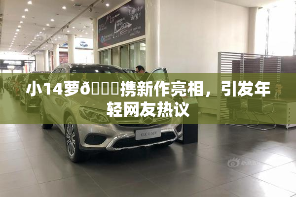 小14萝🔞携新作亮相，引发年轻网友热议