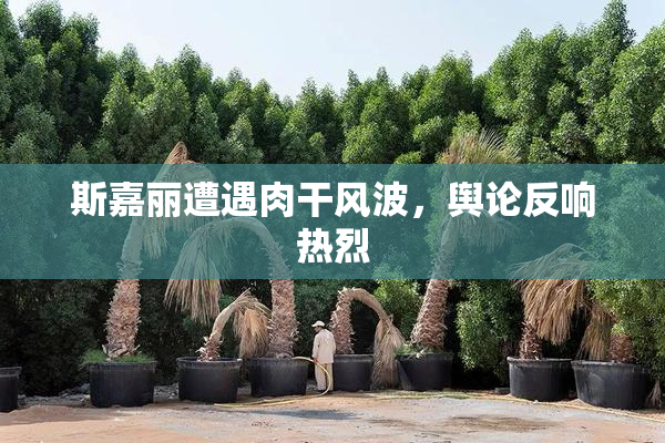 斯嘉丽遭遇肉干风波，舆论反响热烈