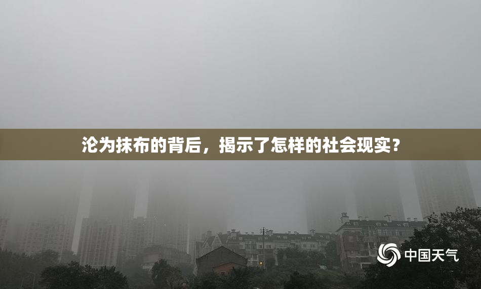 沦为抹布的背后，揭示了怎样的社会现实？