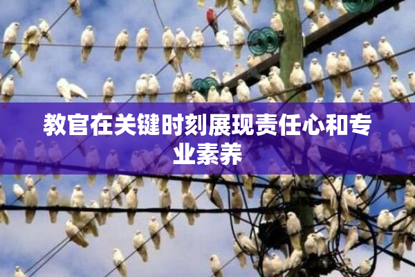 教官在关键时刻展现责任心和专业素养
