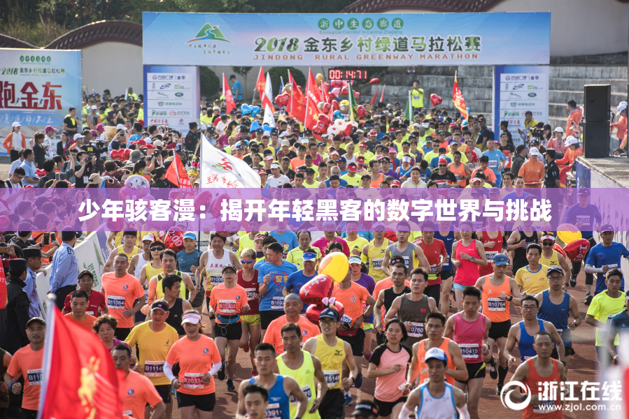 少年骇客漫：揭开年轻黑客的数字世界与挑战