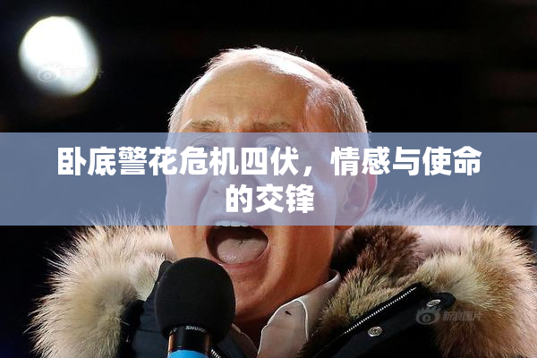 卧底警花危机四伏，情感与使命的交锋