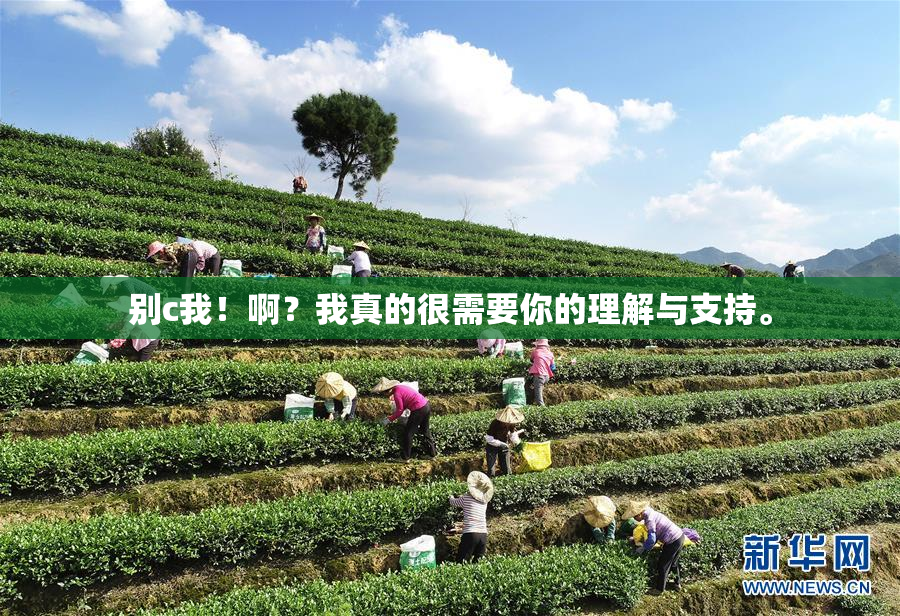 别c我！啊？我真的很需要你的理解与支持。