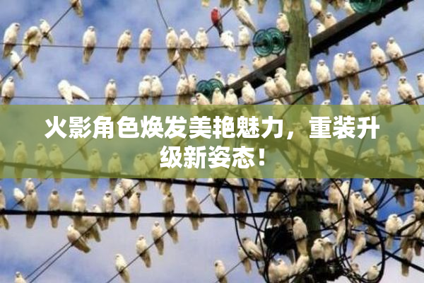 火影角色焕发美艳魅力，重装升级新姿态！