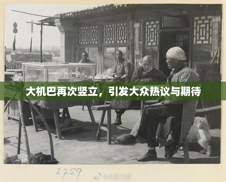 大机巴再次竖立，引发大众热议与期待