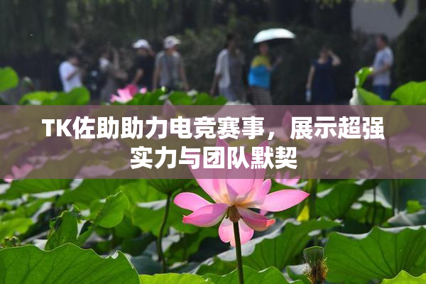 TK佐助助力电竞赛事，展示超强实力与团队默契