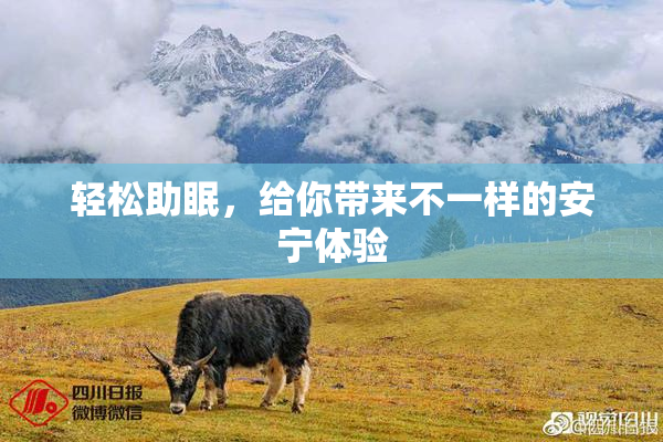 轻松助眠，给你带来不一样的安宁体验