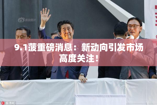 9.1菠重磅消息：新动向引发市场高度关注！