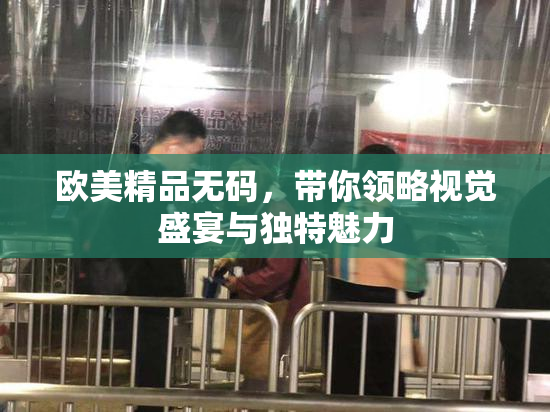 欧美精品无码，带你领略视觉盛宴与独特魅力