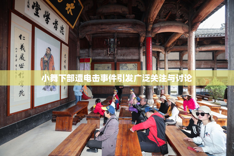 小舞下部遭电击事件引发广泛关注与讨论