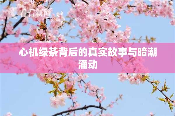 心机绿茶背后的真实故事与暗潮涌动