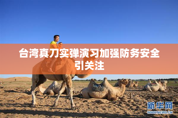 台湾真刀实弹演习加强防务安全引关注