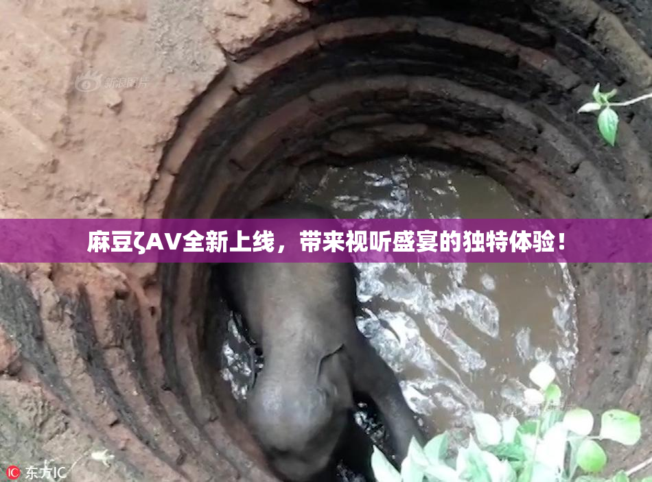 麻豆ζAV全新上线，带来视听盛宴的独特体验！