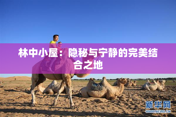 林中小屋：隐秘与宁静的完美结合之地