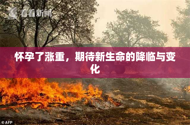 怀孕了涨重，期待新生命的降临与变化