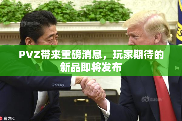 PVZ带来重磅消息，玩家期待的新品即将发布