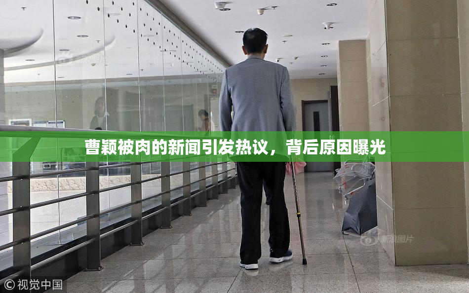 曹颖被肉的新闻引发热议，背后原因曝光