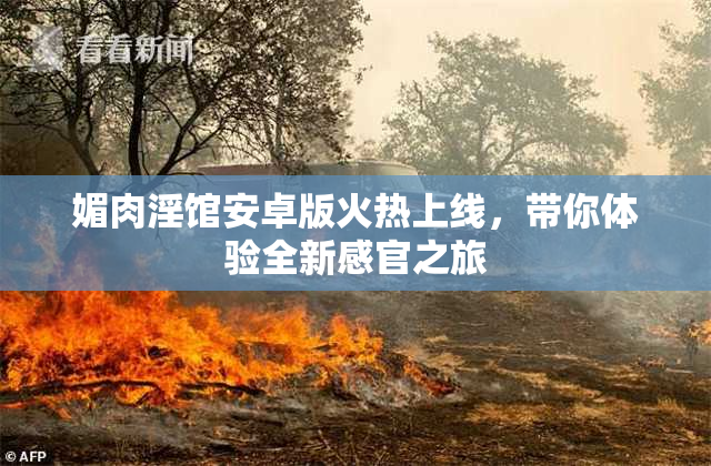 媚肉淫馆安卓版火热上线，带你体验全新感官之旅