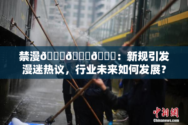 禁漫🍆🍑🔞：新规引发漫迷热议，行业未来如何发展？