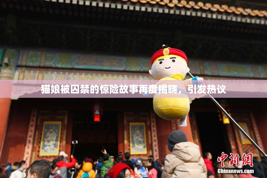 猫娘被囚禁的惊险故事再度揭晓，引发热议