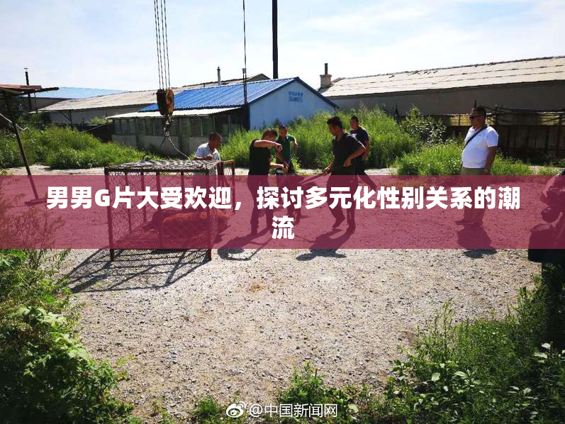 男男G片大受欢迎，探讨多元化性别关系的潮流