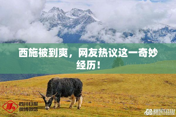 西施被到爽，网友热议这一奇妙经历！