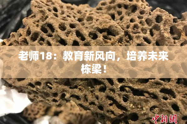 老师18：教育新风向，培养未来栋梁！