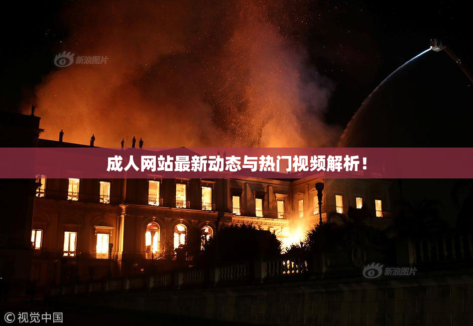 成人网站最新动态与热门视频解析！
