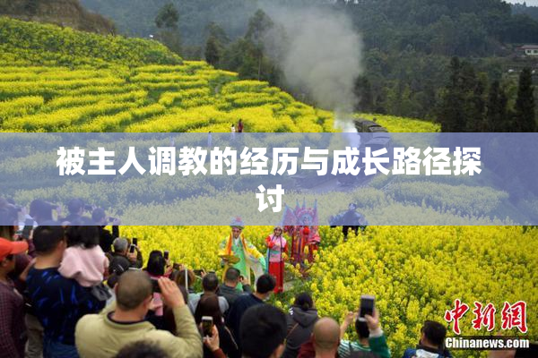 被主人调教的经历与成长路径探讨