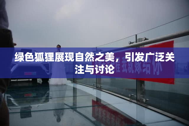 绿色狐狸展现自然之美，引发广泛关注与讨论