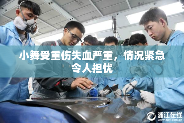 小舞受重伤失血严重，情况紧急令人担忧