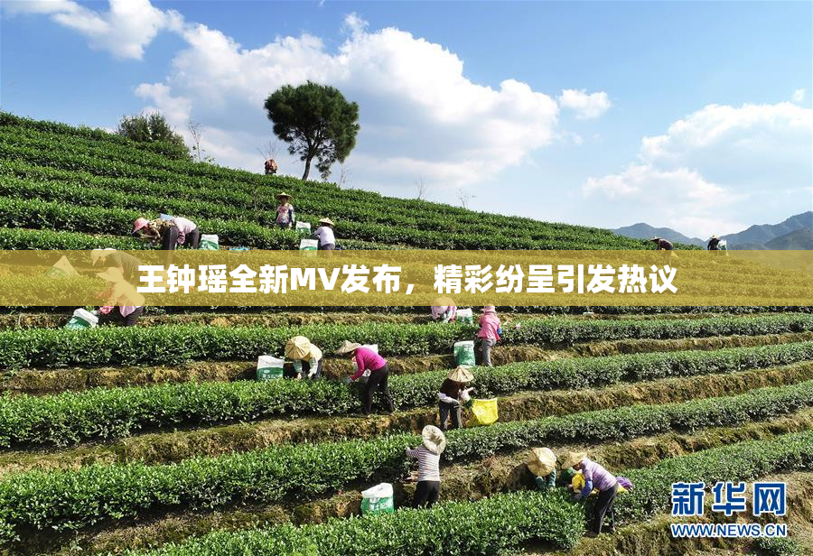 王钟瑶全新MV发布，精彩纷呈引发热议
