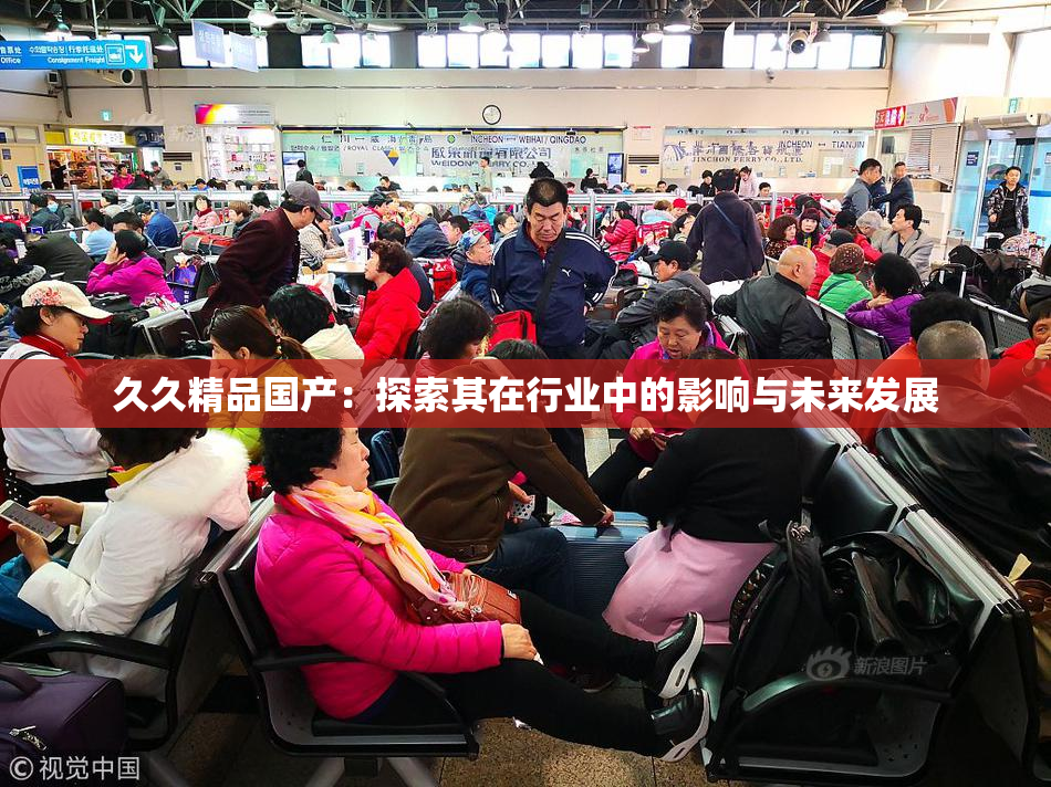 久久精品国产：探索其在行业中的影响与未来发展
