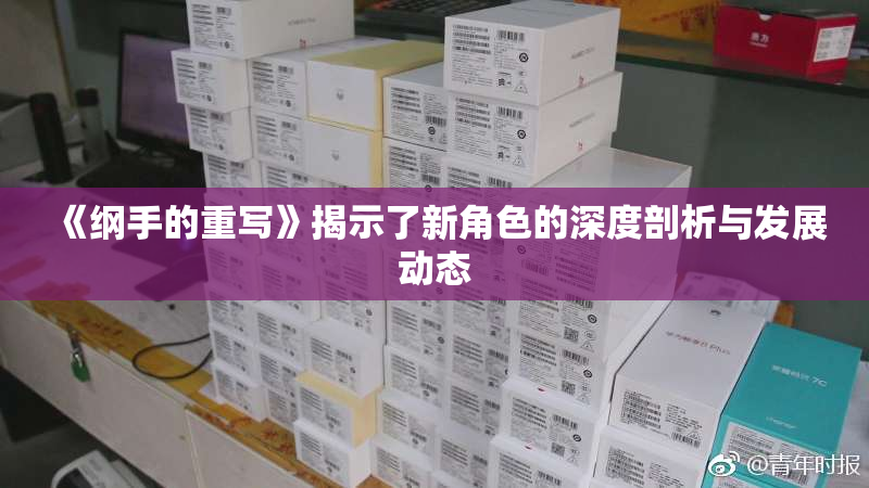 《纲手的重写》揭示了新角色的深度剖析与发展动态