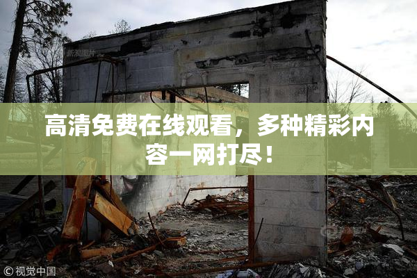 高清免费在线观看，多种精彩内容一网打尽！