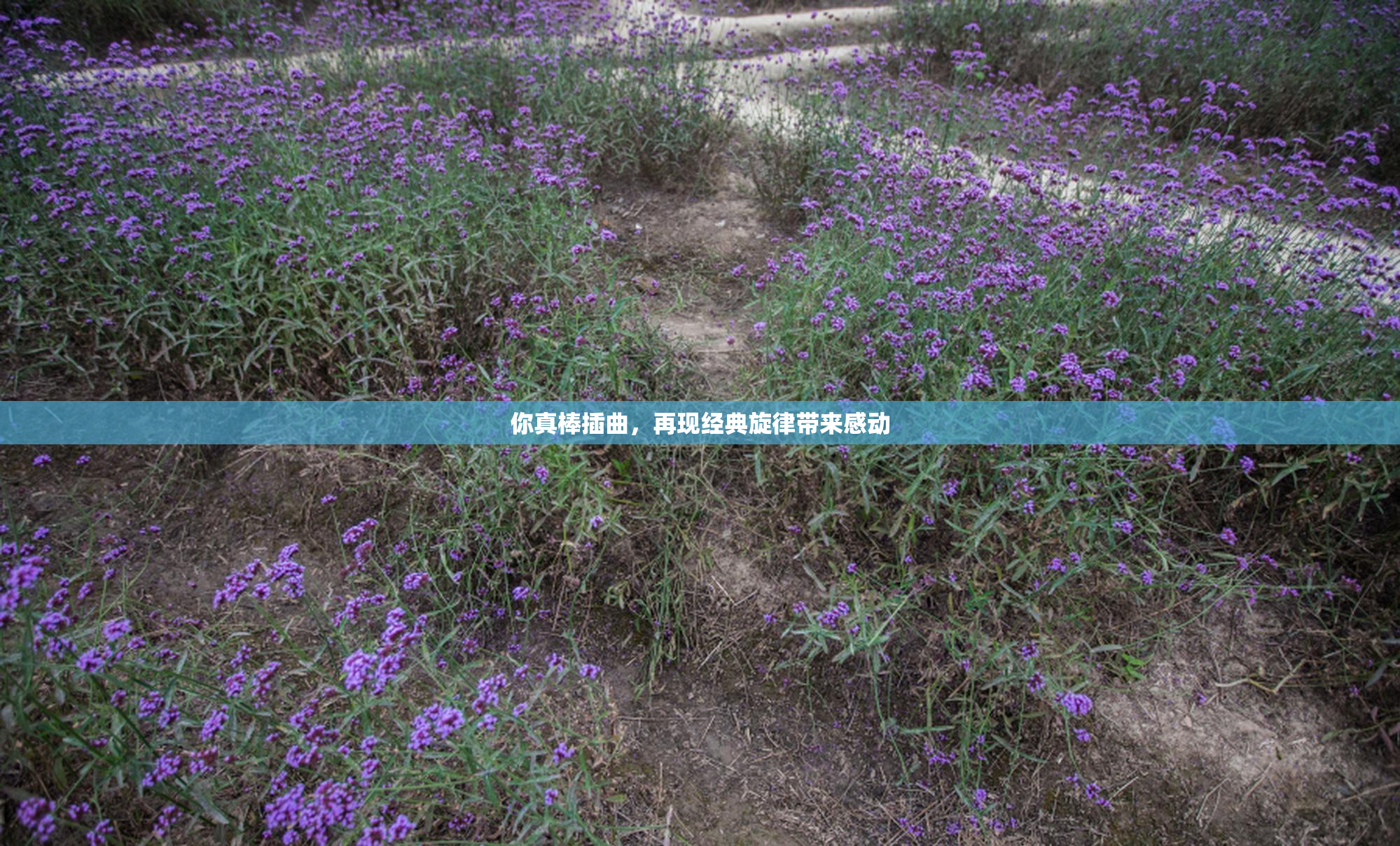 你真棒插曲，再现经典旋律带来感动