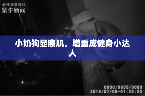 小奶狗显腹肌，增重成健身小达人