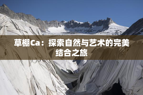草棚Ca：探索自然与艺术的完美结合之旅