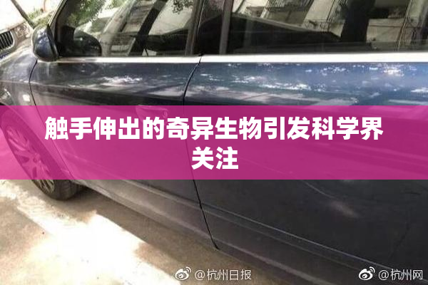 触手伸出的奇异生物引发科学界关注