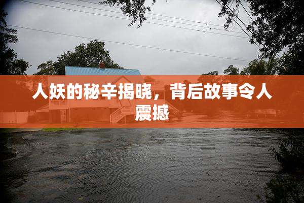 人妖的秘辛揭晓，背后故事令人震撼