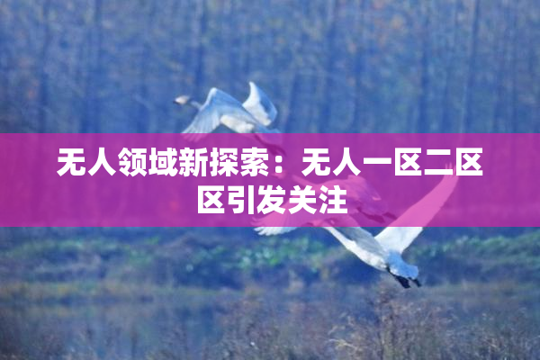 无人领域新探索：无人一区二区区引发关注
