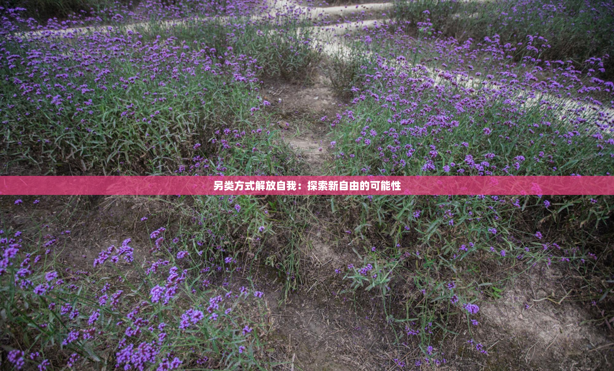 另类方式解放自我：探索新自由的可能性