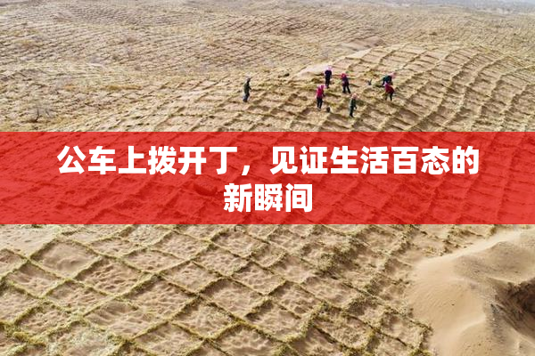 公车上拨开丁，见证生活百态的新瞬间
