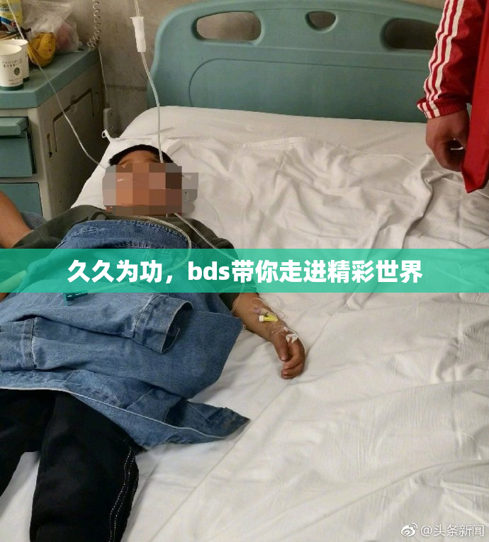 久久为功，bds带你走进精彩世界