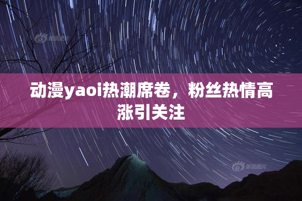 动漫yaoi热潮席卷，粉丝热情高涨引关注