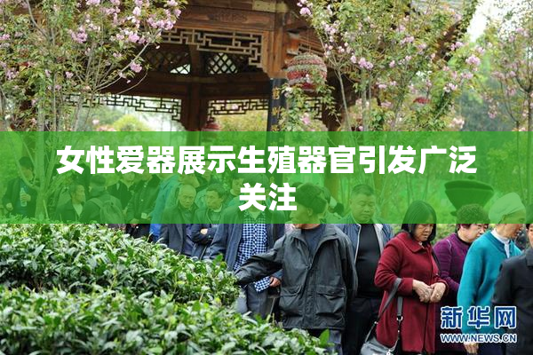 女性爱器展示生殖器官引发广泛关注