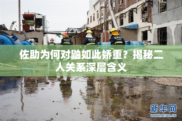 佐助为何对鼬如此娇重？揭秘二人关系深层含义