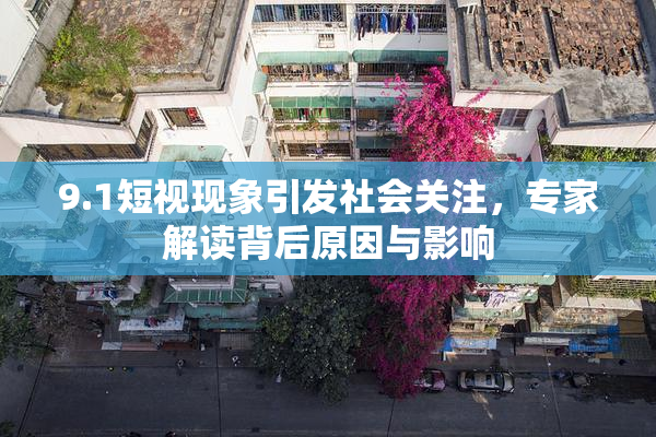 9.1短视现象引发社会关注，专家解读背后原因与影响