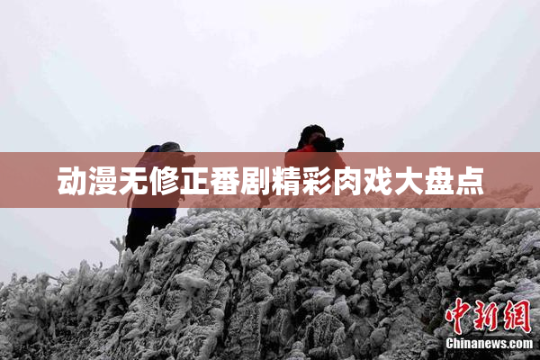动漫无修正番剧精彩肉戏大盘点